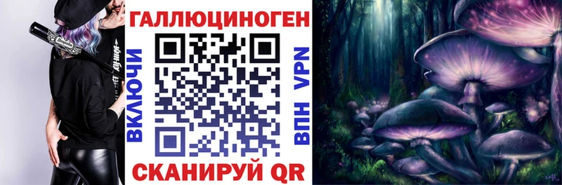 Псилоцибиновые грибы Psilocybine cubensis  Геленджик 