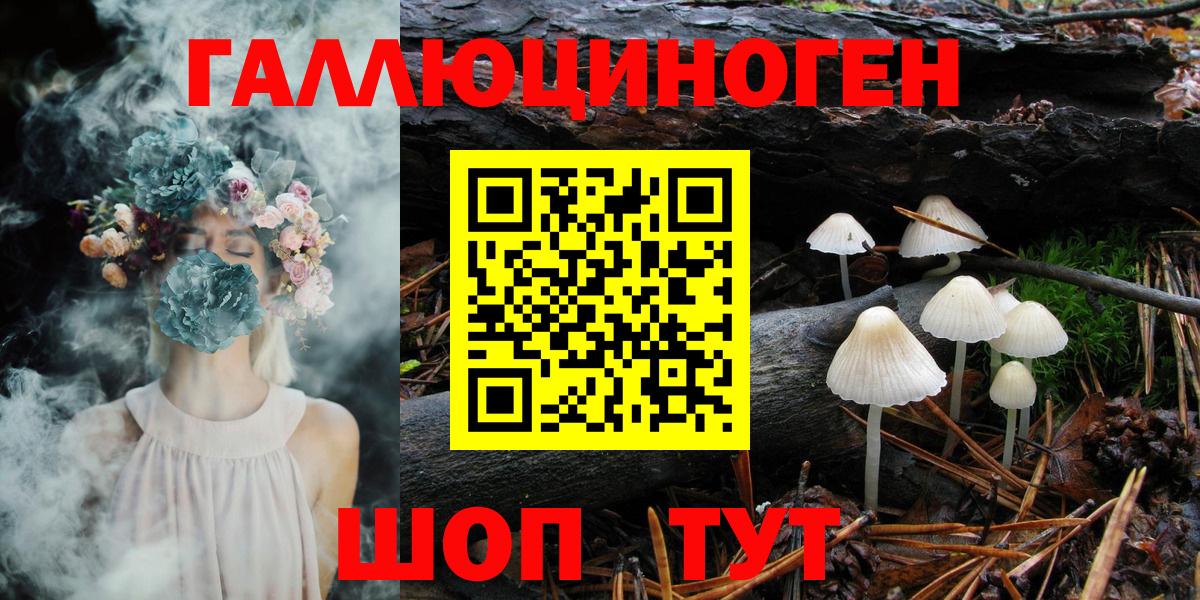 Псилоцибиновые грибы прущие грибы Геленджик