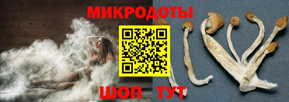 Геленджик  Псилоцибиновые грибы ЛСД  Вход с VPN 